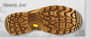 lowa renegade gtx® - обувь lowa купить в киеве lowa renegade gtx® - обувь lowa купить в киеве