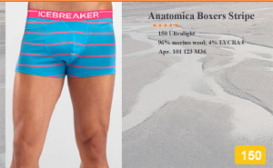Icebreaker Anatomica Boxers | Stripe 101 123 M36
