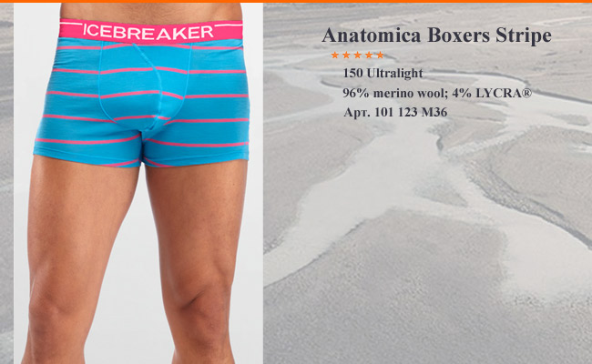 Icebreaker Anatomica Boxers | Stripe 101 123 M36
