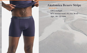 Icebreaker Anatomica Boxers | Navy 103 029 423