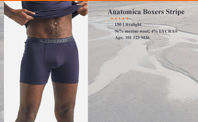 Icebreaker Anatomica Boxers | Navy 103 029 423