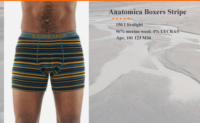 Icebreaker Anatomica Boxers  | CURRY 103 029 703