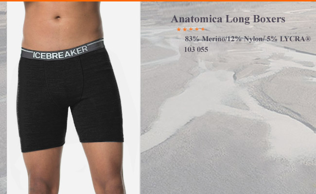  	Icebreaker Anatomica Long Boxers Black | 103 055 001