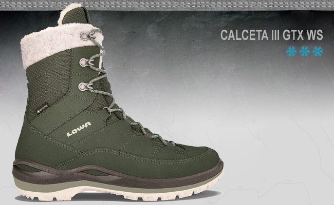   Lowa CALCETA III GTX WS | Cedar
