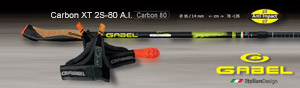 Gabel Carbon XT 2S-80 A.I. | Anti Impact 