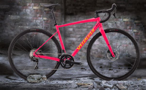  Specialized Diverge E5 Comp 2020 | Pink