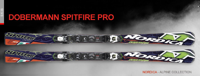 Dobermann Spitfire Pro 2018