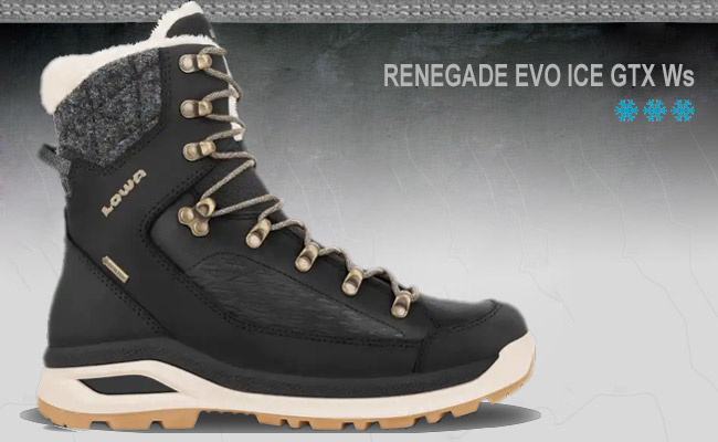  Lowa Renegade EVO ICE GTX Ws | Schamp