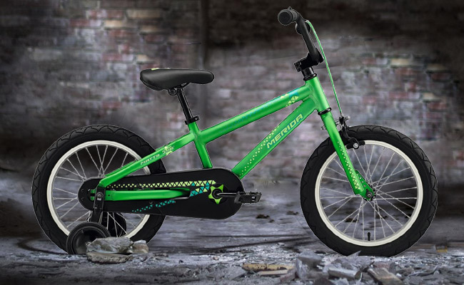  	Merida 2020 Matts J.16 UNI | Matt Flashy Green