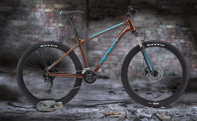  	 Merida Big.Seven 100-3x 2021 | BRAUN  