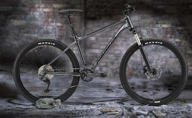  Merida BIG.SEVEN 300 2021 | AN
