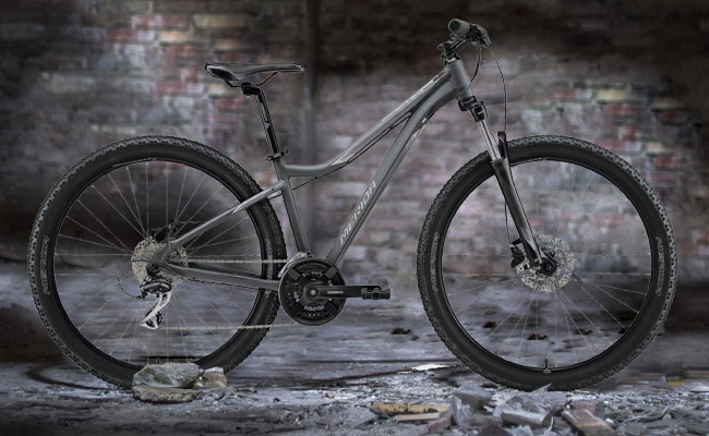 	 Merida MATTS 7.20 2021 Matt Grey