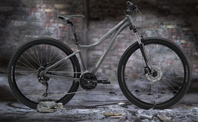  	 Merida MATTS 7.30 2021 Matt Grey  