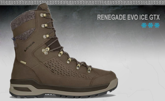  Lowa Renegade EVO ICE GTX | Braun