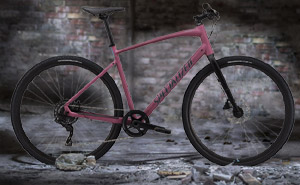 Велосипед Specialized Sirrus X 3.0 2020 | Lilac