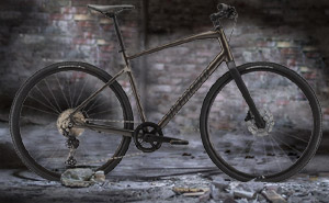 Велосипед Specialized Sirrus X 4.0 2021 | Braun