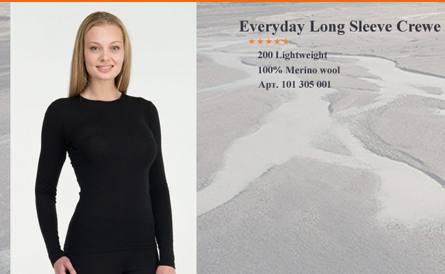 Icebreaker Everyday LS Crewe | 101 305 001 Black 