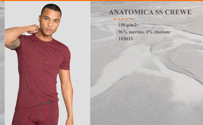  	Icebreaker Anatomica SS Crewe | 103 033 601 