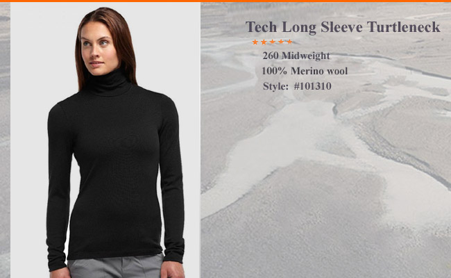Icebreaker Tech Long Sleeve Turtleneck | 101 310 001 