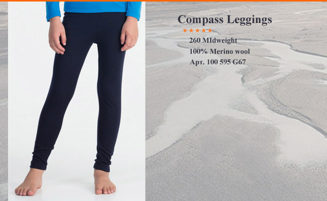 Icebreaker  Compass Leggings 100 595 G67