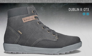  	Зимние ботинки Lowa DUBLIN III GTX | Antracite  