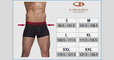   icebreaker anatomica boxer   